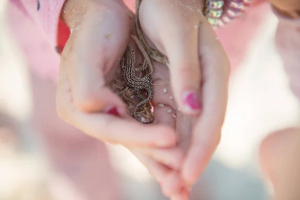 Kertenkele Küçük Bir Kızın Ellerinde — Stok fotoğraf