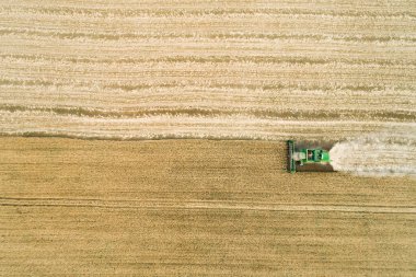 Buğday hasadı üzerinde çalışan modern biçerdöver. Hava görünümü.