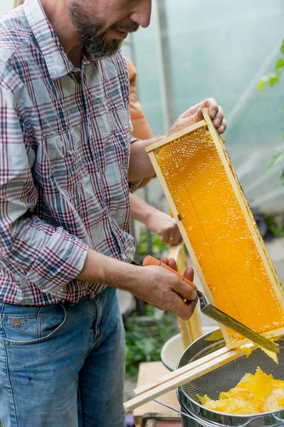 Μελισσοκόμος Κόβει Κερί Από Κηρήθρα Μέλι — Φωτογραφία Αρχείου
