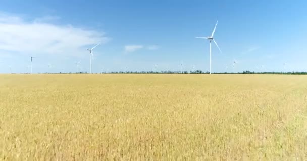 Группа Ветряных Мельниц Производства Электроэнергии Желтом Поле Пшеницы Вид Воздуха — стоковое видео