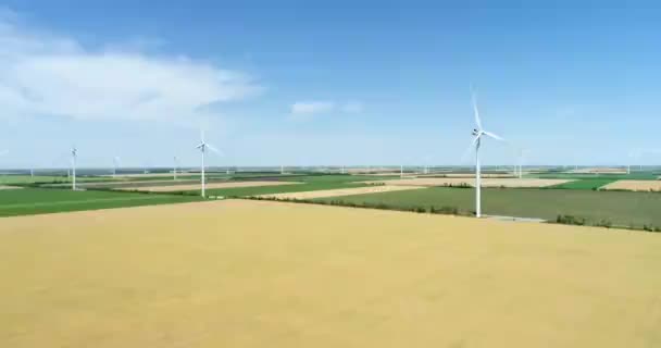 Grupo Molinos Viento Para Producción Energía Eléctrica Los Campos Agrícolas — Vídeos de Stock