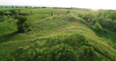 Mamay Dağı 'nın mezar tepeciklerinin manzarası. Hava görünümü.