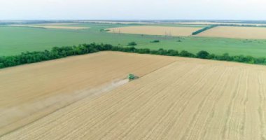 Buğday hasadı üzerinde çalışan modern biçerdöver. Hava görüntüsü. Yavaş çekim. 
