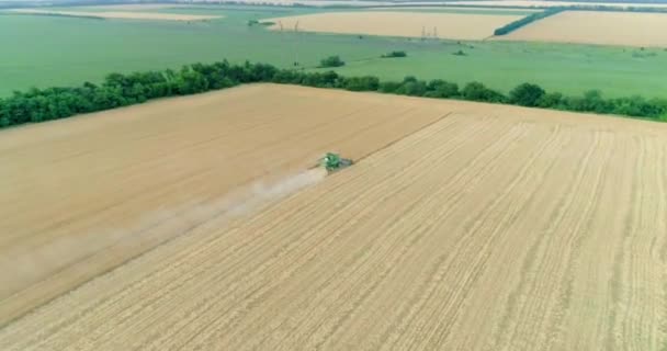 Cosechadora Moderna Que Trabaja Cultivo Trigo Vista Aérea — Vídeos de Stock