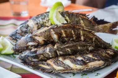 Kömürde pişmiş balık.