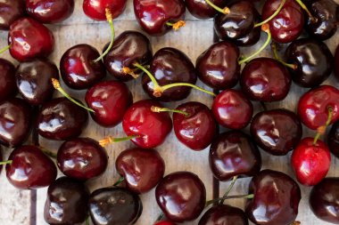 Kırmızı kirazlar. Olgun kiraz ve sap yığını.