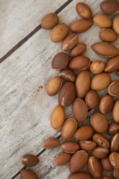 Arganová Semena Vyprodukovaná Stromem Argania Spinosa Closeup — Stock fotografie