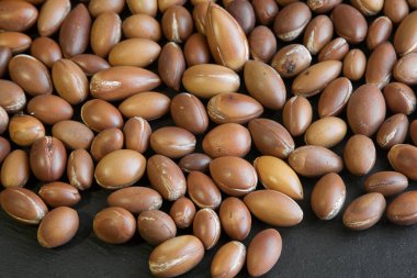 Geleneksel Fas argan fındıkları. Argan tohumları (Argania spinosa). Kapat.