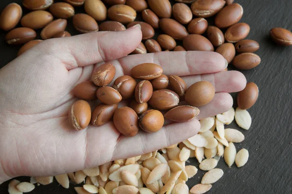 モロッコの伝統的なアーガンナッツ Argan Seed アルガニア スピノーサ 閉じろ — ストック写真