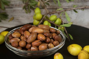 Meyveler - dalda Argan ağacı fındıkları (Argania spinosa). Kapat.