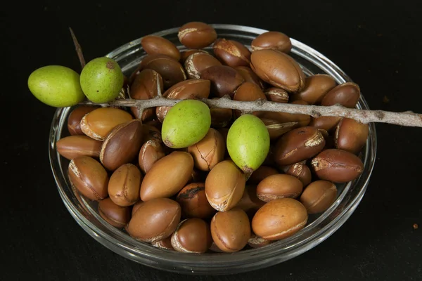Ovoce Ořechy Arganovníku Argania Spinosa Větvi Zavřít — Stock fotografie