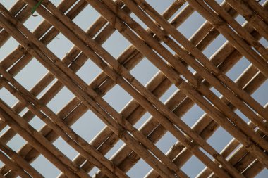 Sazlıkların ızgarası ve gökyüzünün manzarası.