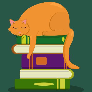 Kırmızı kedi kitapların üzerinde uyur.