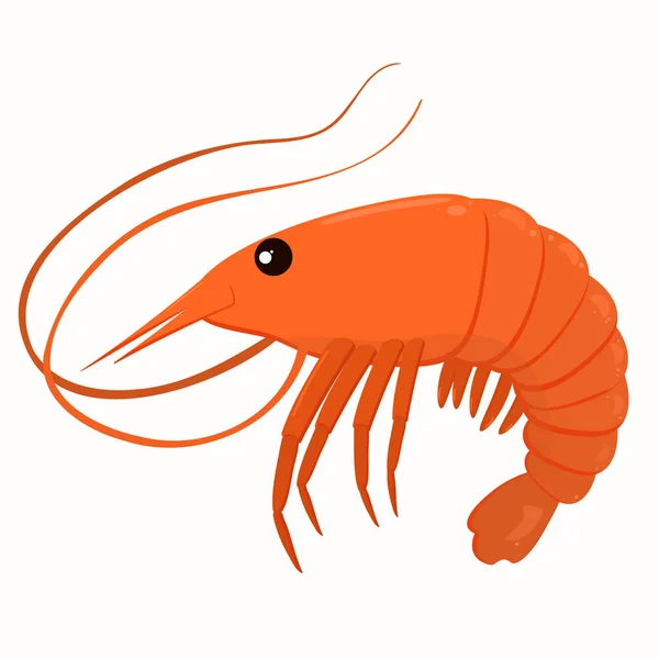 Ilustrasi Dari Udang Laut Orange - Stok Vektor