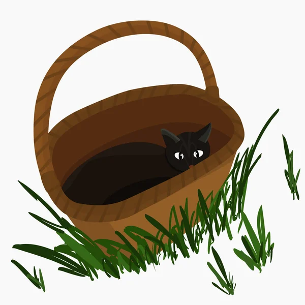 Черная Кошка Сидит Плетеной Корзине — стоковый вектор