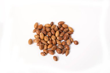 Beyaz arka planda Argan ağacının fındıkları (Argania spinosa). Argan yağı üretimi için