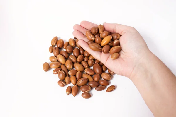Arganové Ořechy Argania Spinosa Bílém Pozadí Ruce Pro Výrobu Arganového — Stock fotografie