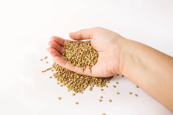 dry lentils in hand on a white background