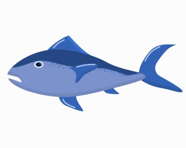  Beyaz arka planda bir okyanus balığının çizimi