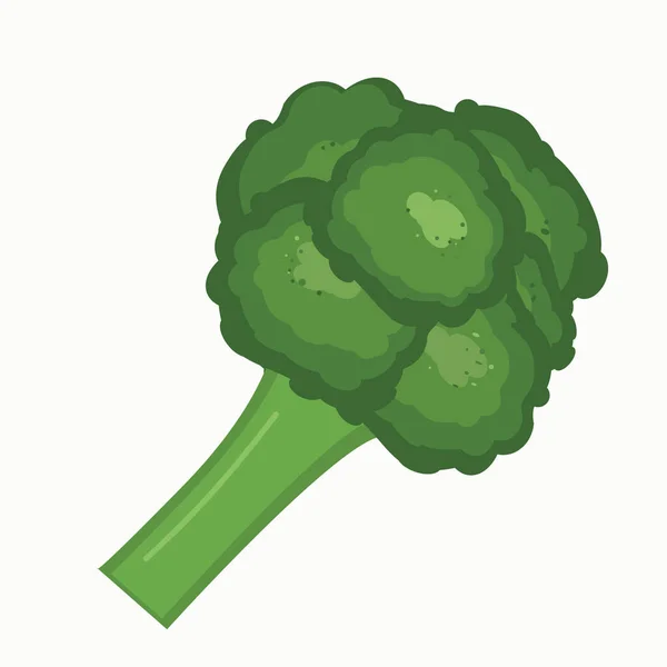 Иллюстрация Свежей Зеленой Брокколи Концепция Правильного Питания — стоковый вектор