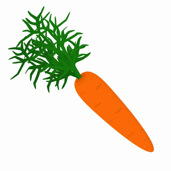 Иллюстрация Оранжевой Моркови Зеленью — стоковый вектор