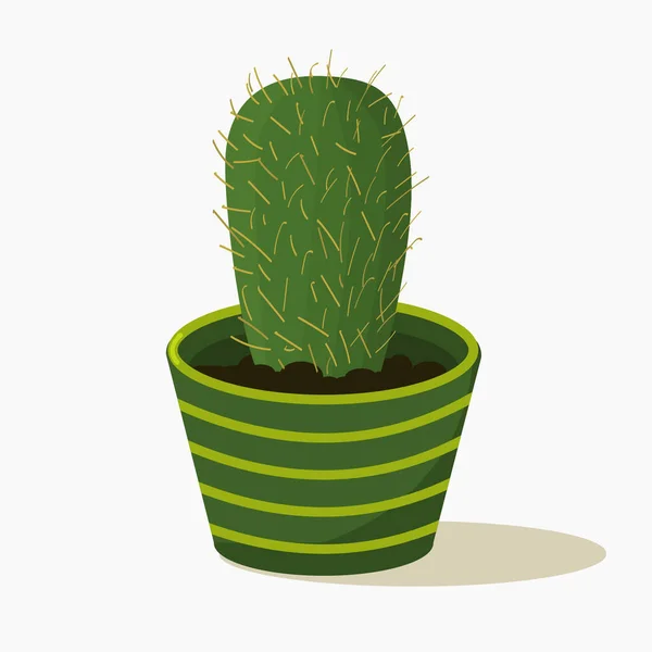 Cactus Binnen Kantoorplant — Stockvector