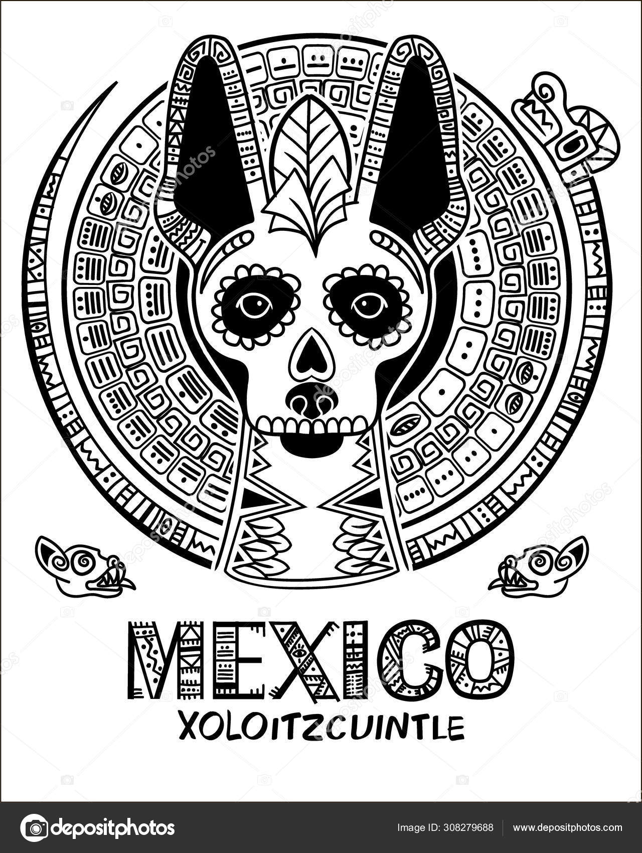 Xoloitzcuintle imágenes de stock de arte vectorial | Depositphotos