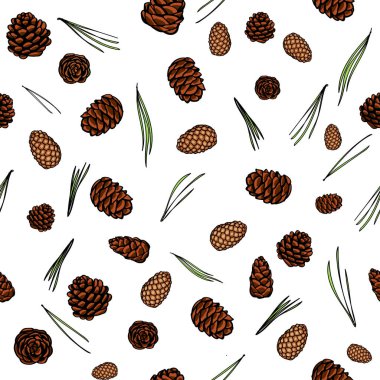 Beyaz arka plan, desen izole iğneler ile çam konileri