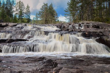 Güzellik şelale orman