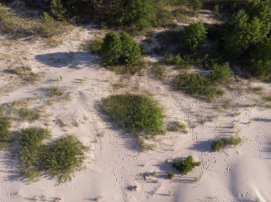 deniz coastlake için kum üzerinde üstten görünüm 