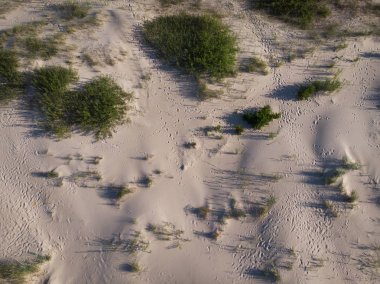 deniz coastlake için kum üzerinde üstten görünüm 