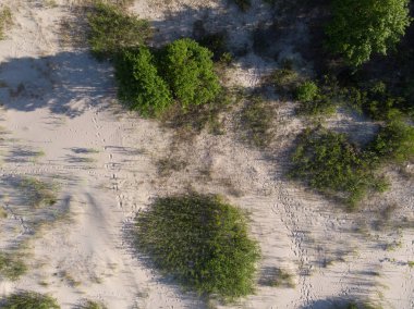 deniz coastlake için kum üzerinde üstten görünüm 
