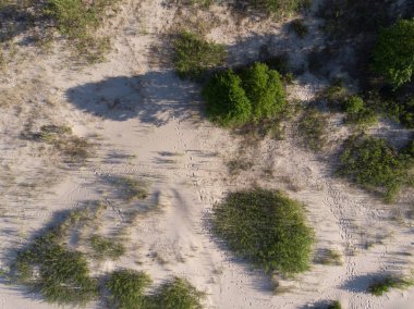 deniz coastlake için kum üzerinde üstten görünüm 