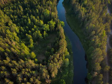 ormandaki sarma Nehri üzerinde üstten görünüm