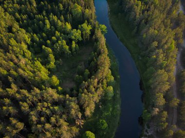 ormandaki sarma Nehri üzerinde üstten görünüm