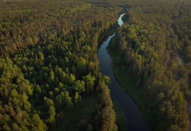 ormandaki sarma Nehri üzerinde üstten görünüm