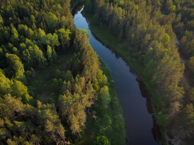 ormandaki sarma Nehri üzerinde üstten görünüm