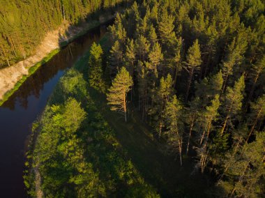 ormandaki sarma Nehri üzerinde üstten görünüm
