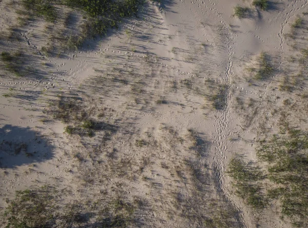 Top View Sand Sea Coastlake — Stock Photo, Image