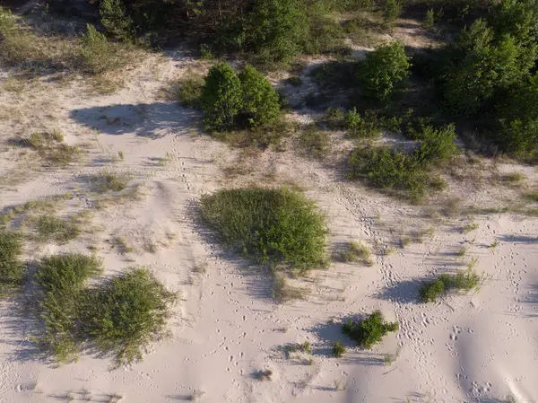 deniz coastlake için kum üzerinde üstten görünüm 