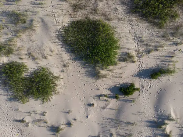 deniz coastlake için kum üzerinde üstten görünüm 