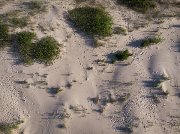 deniz coastlake için kum üzerinde üstten görünüm 