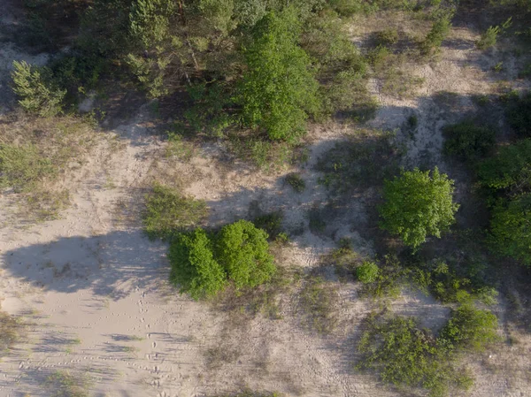 deniz coastlake için kum üzerinde üstten görünüm 