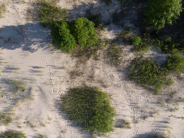 deniz coastlake için kum üzerinde üstten görünüm 