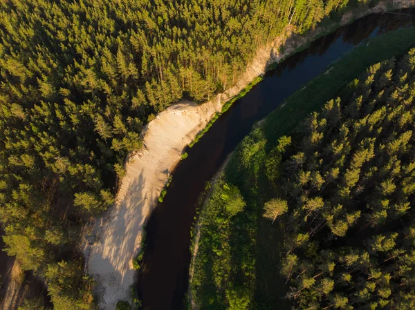 Ormandaki en iyi görünümü sarma Nehri