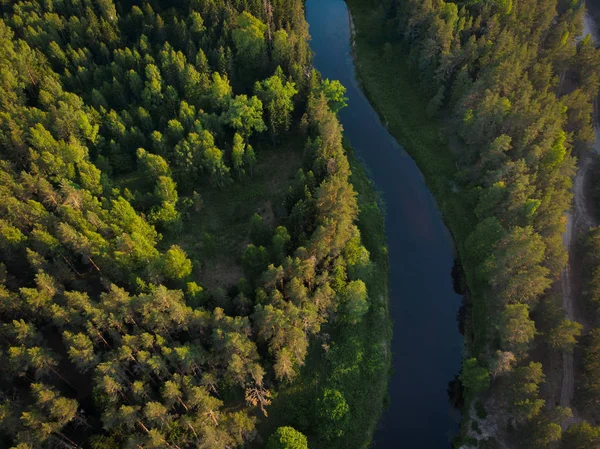 ormandaki sarma Nehri üzerinde üstten görünüm