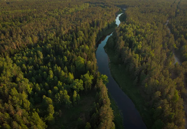 ormandaki sarma Nehri üzerinde üstten görünüm