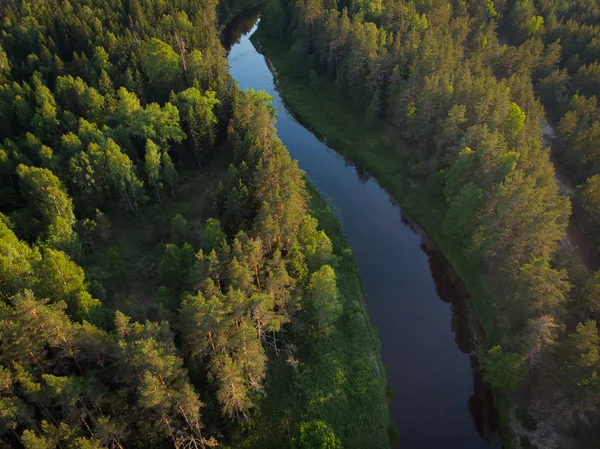 ormandaki sarma Nehri üzerinde üstten görünüm