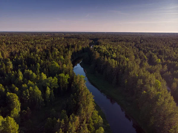 Top View Winding River Forest — Stock Photo, Image