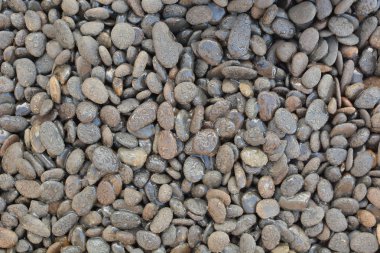 pebbles and small stones for garden decoration clipart